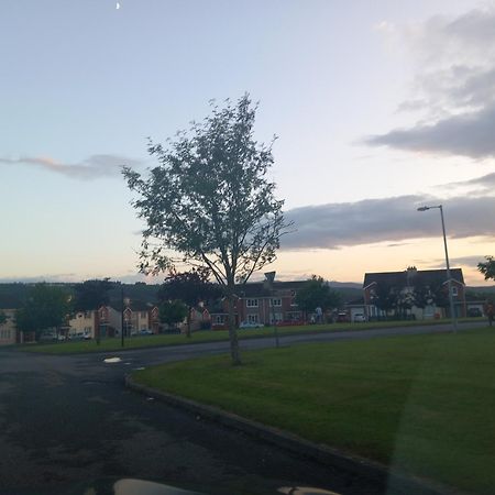 Sycamore Place Carrick-on-Suir Eksteriør bilde